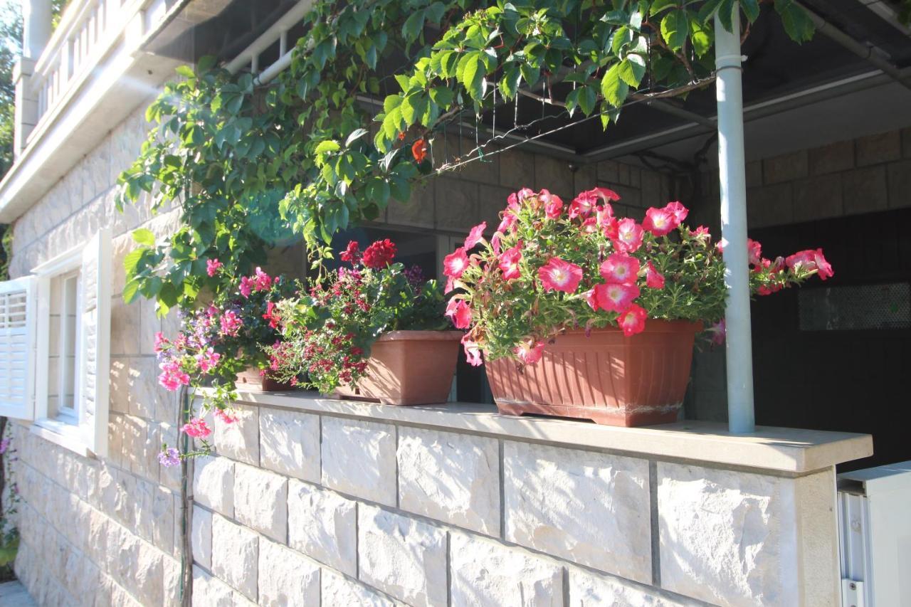 Apartment Ruzica Zrnovo Екстериор снимка